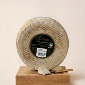 Queso Payoya